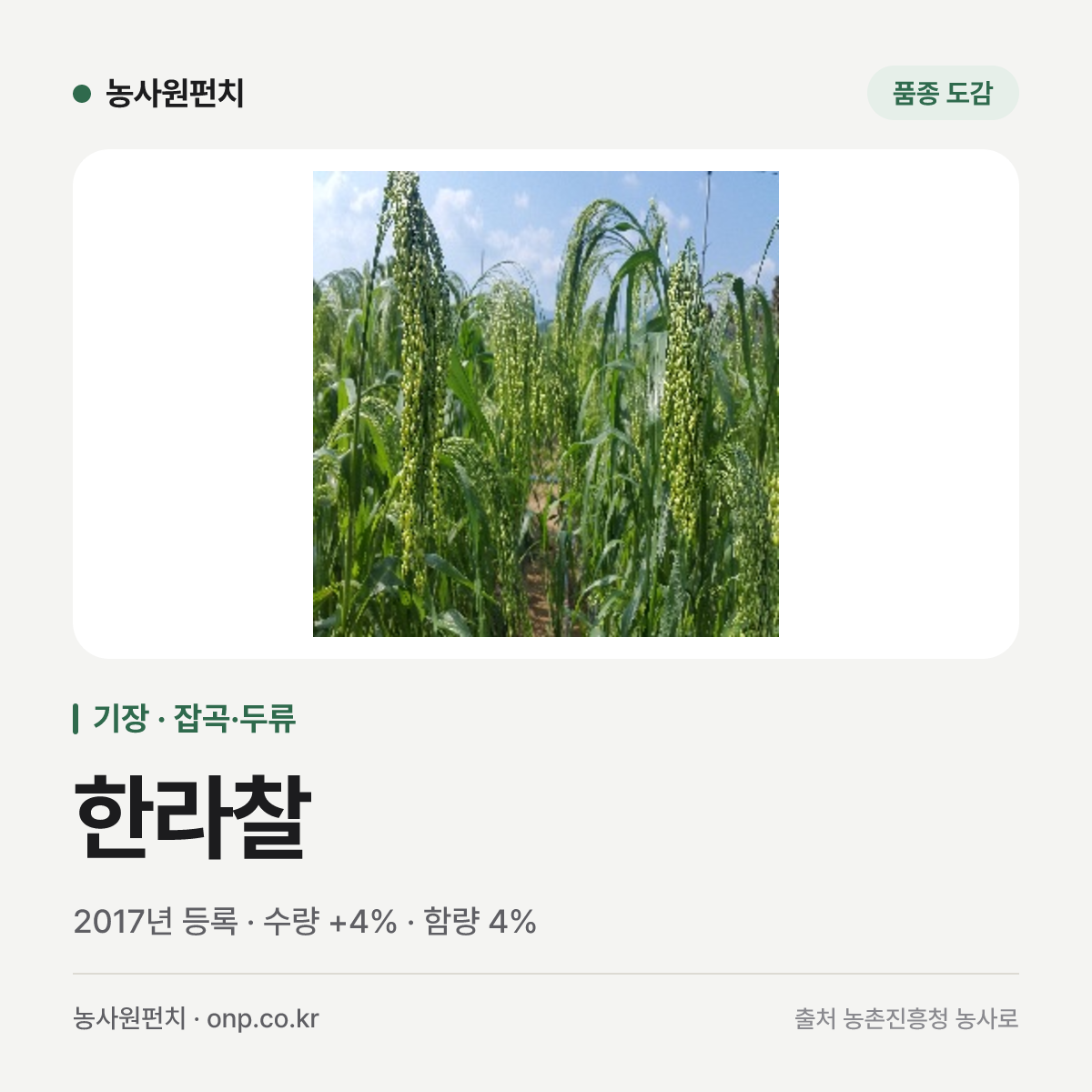 한라찰