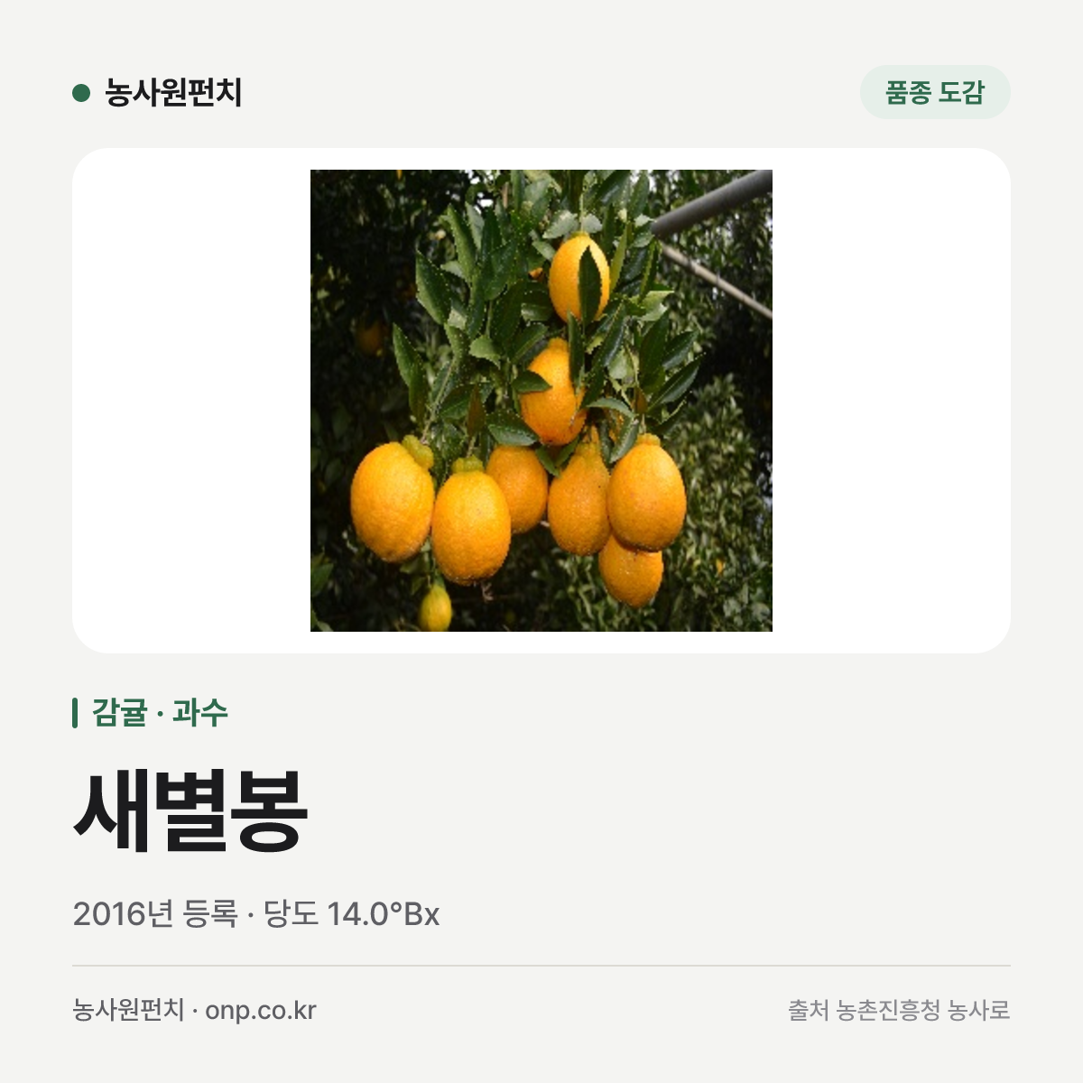 새별봉