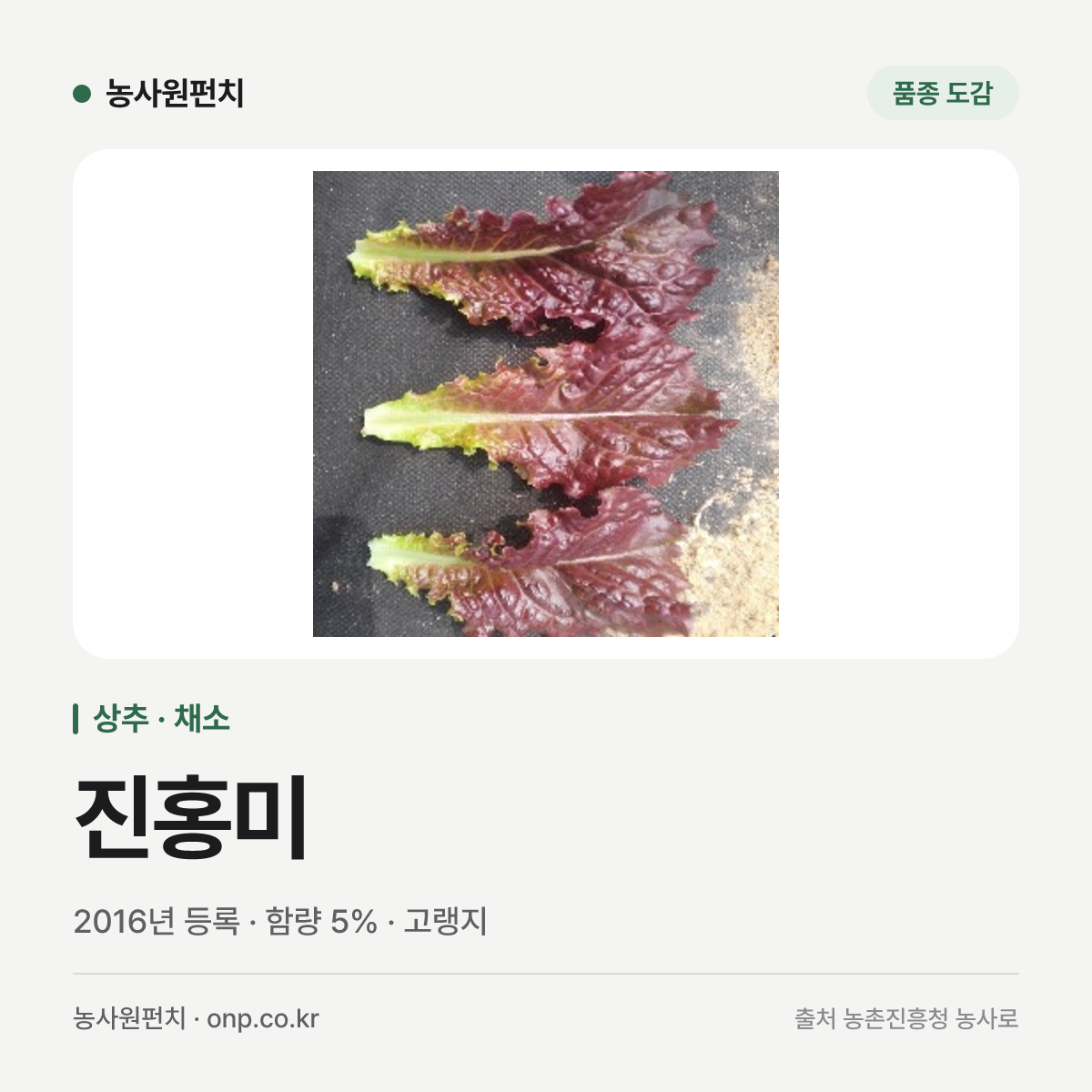 진홍미