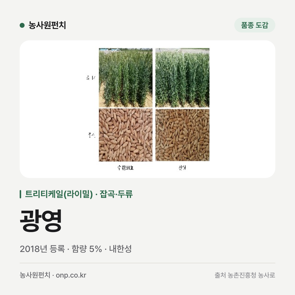 광영
