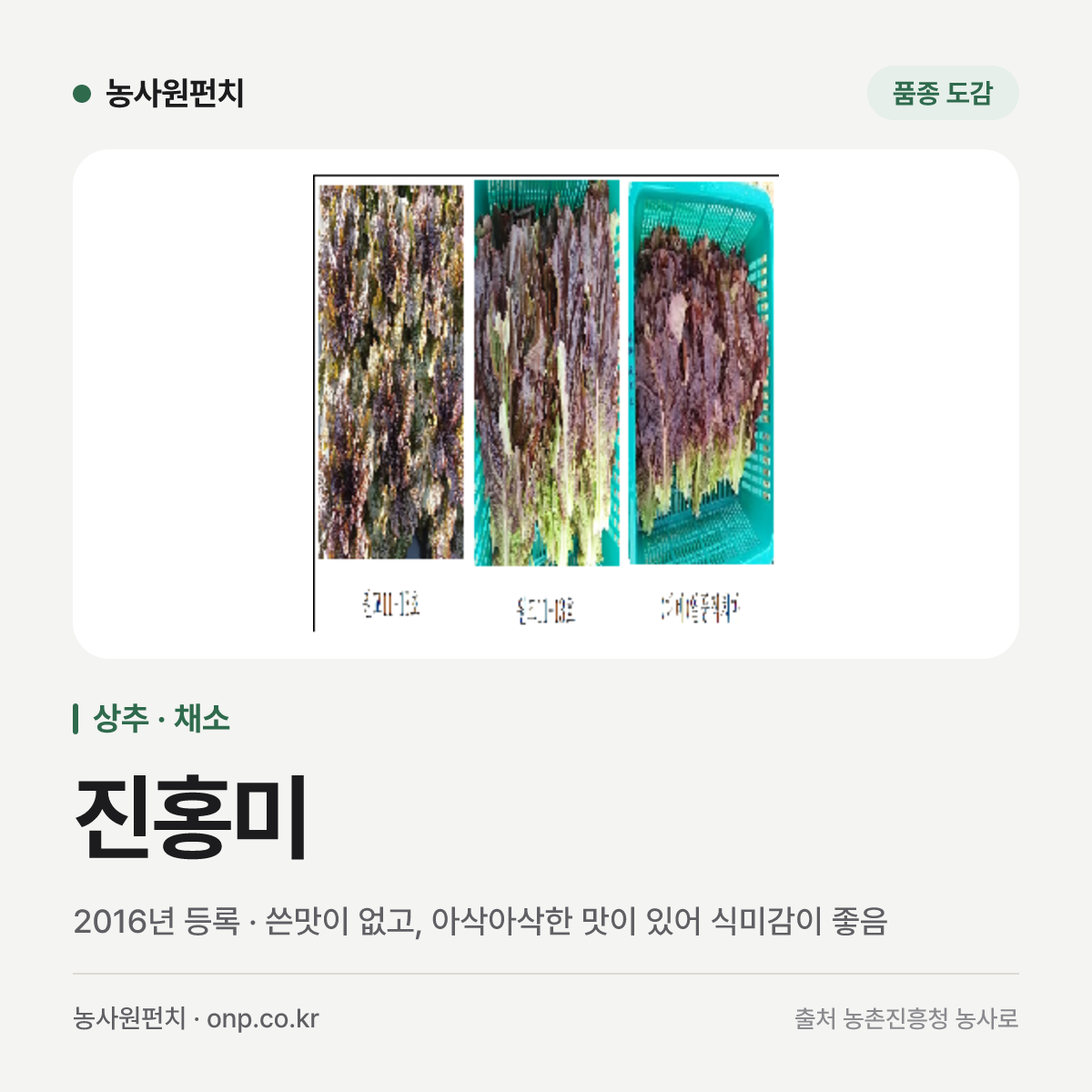 진홍미