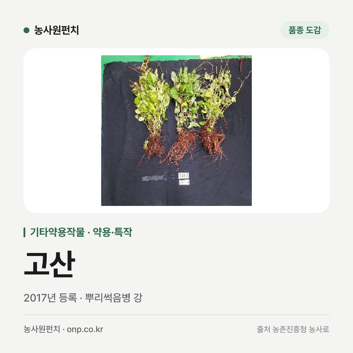 고산