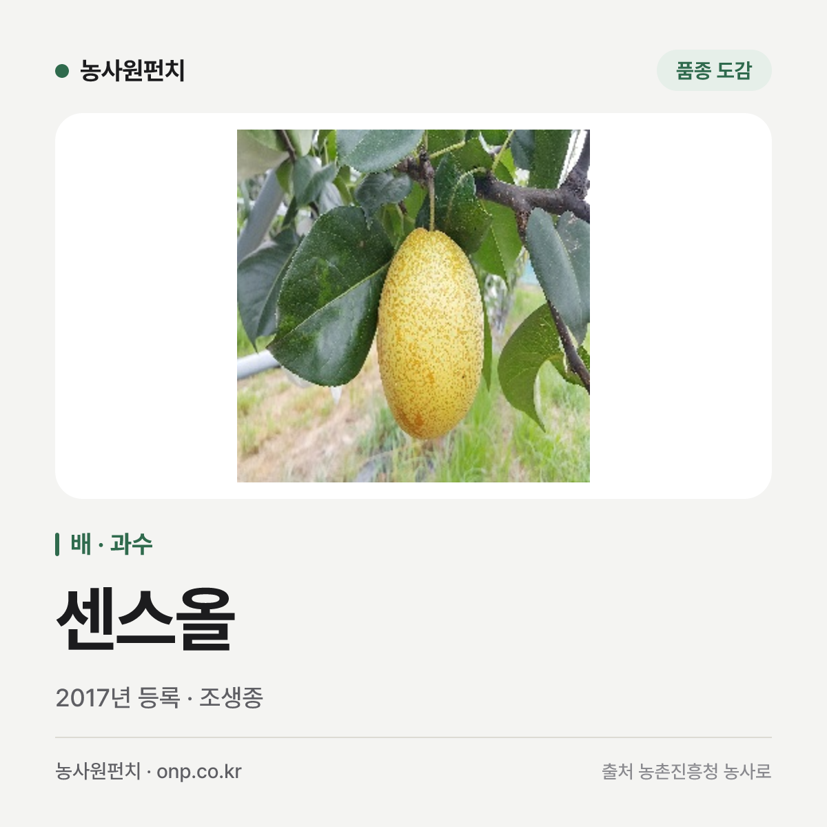 센스올