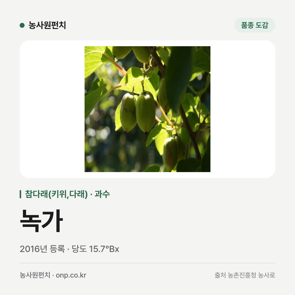 녹가