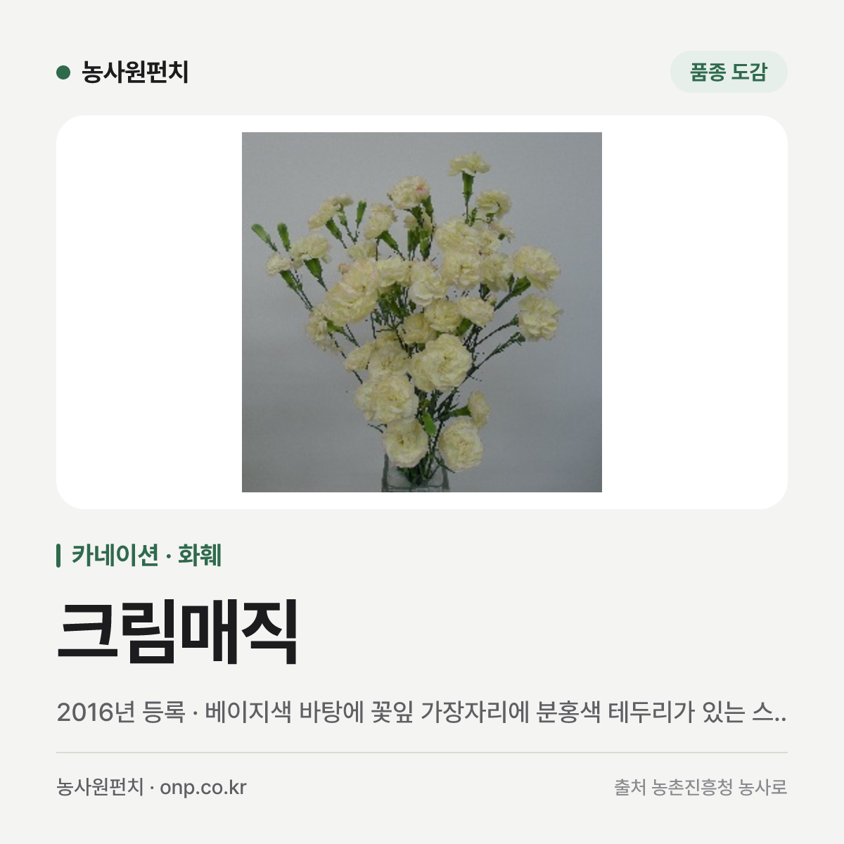 크림매직
