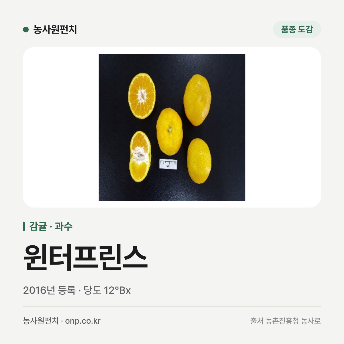 윈터프린스