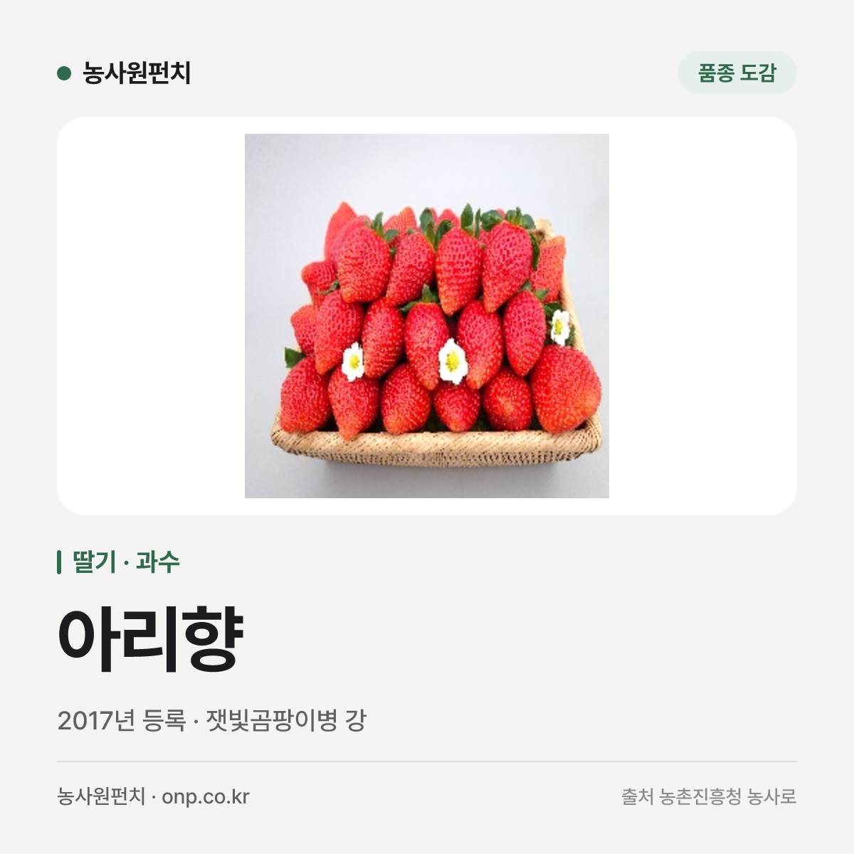 아리향