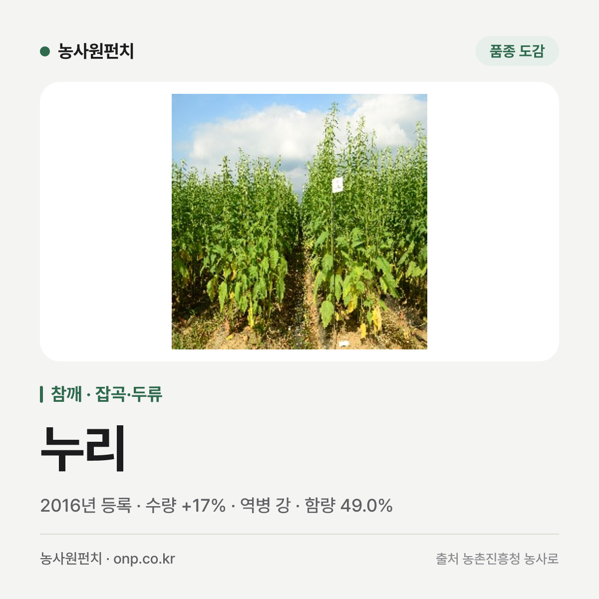 누리