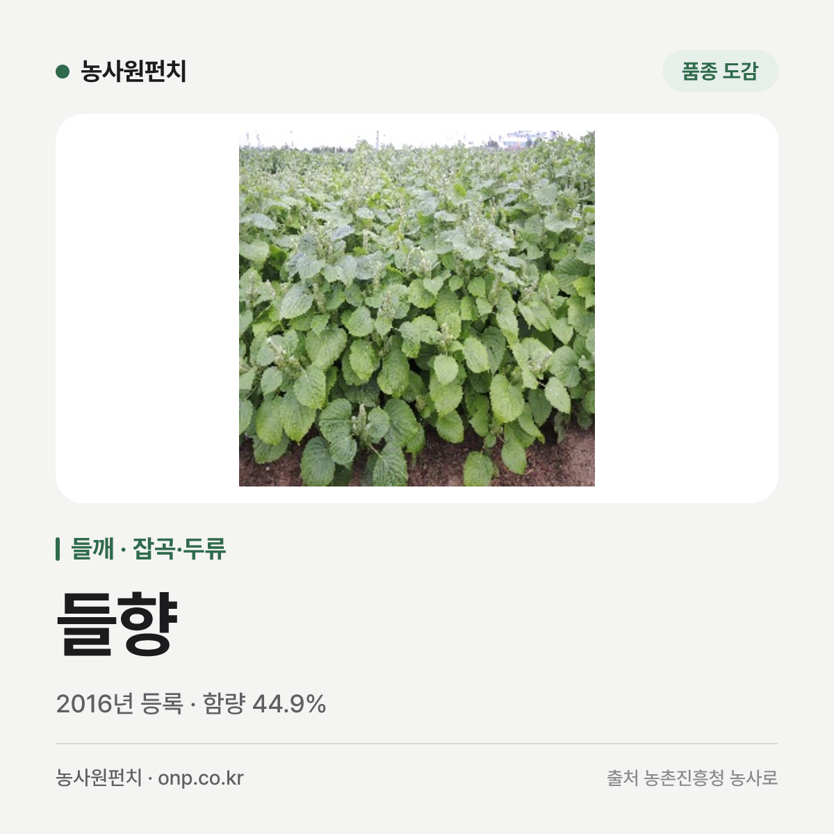 들향