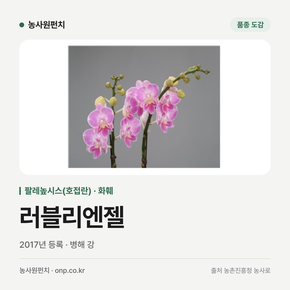 러블리엔젤