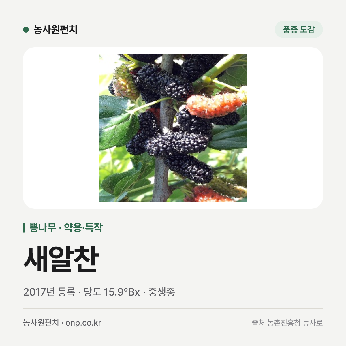 새알찬