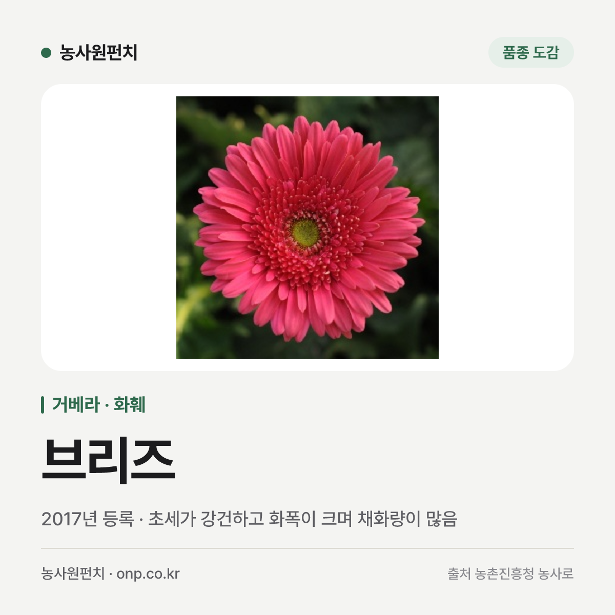 브리즈