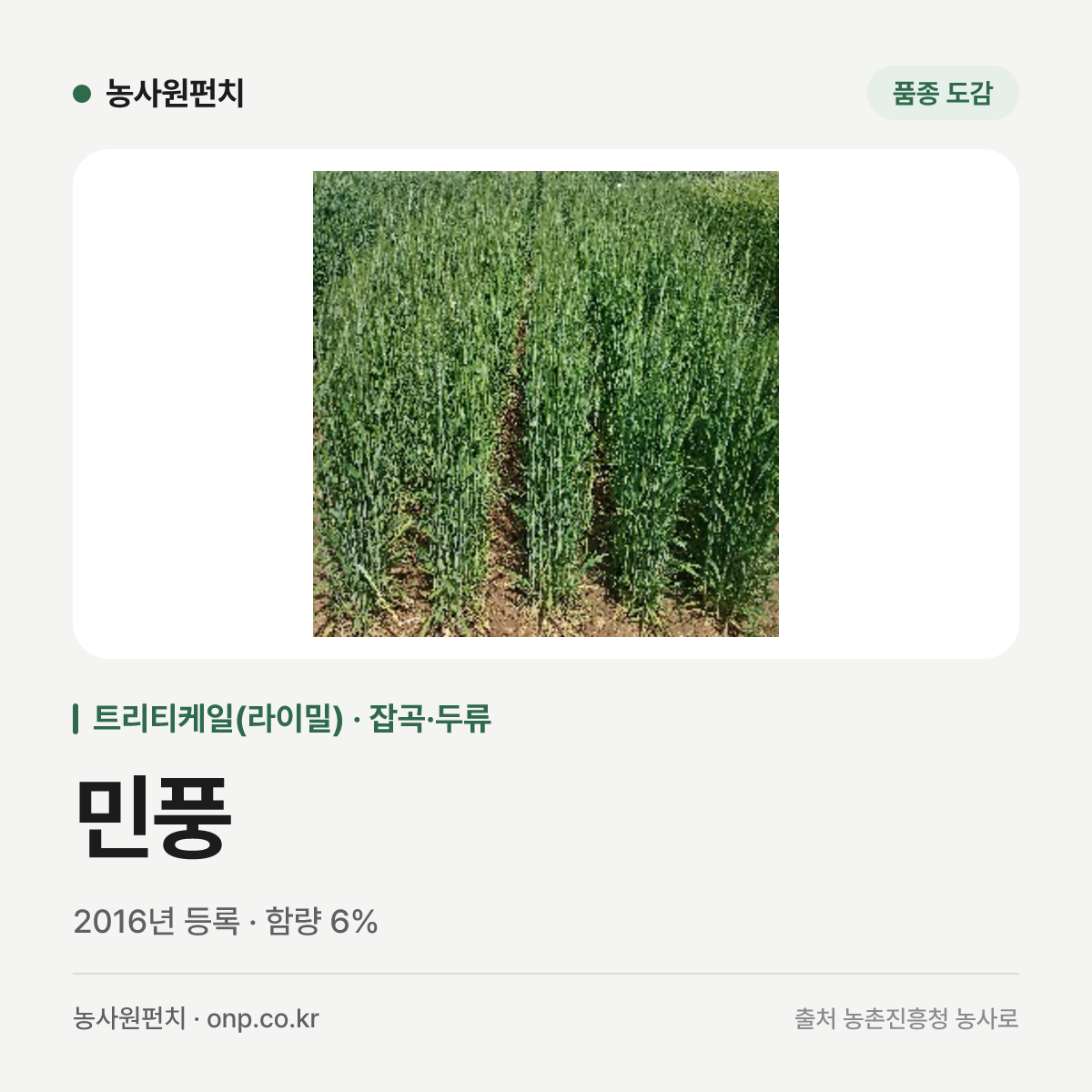 민풍