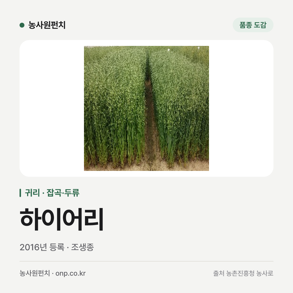 하이어리