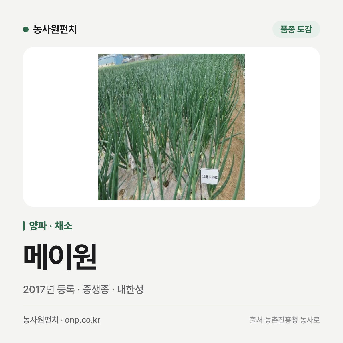 메이원
