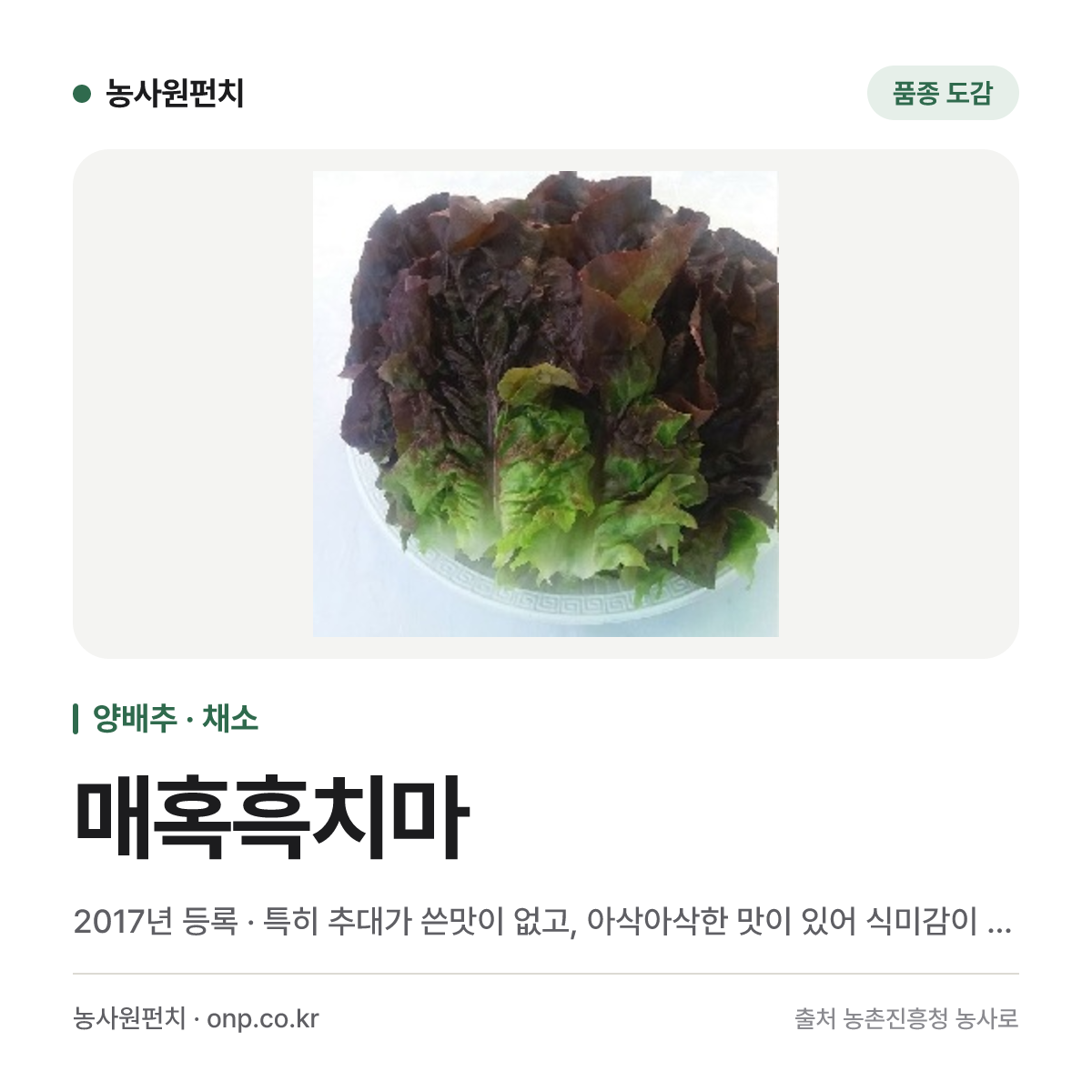 매혹흑치마