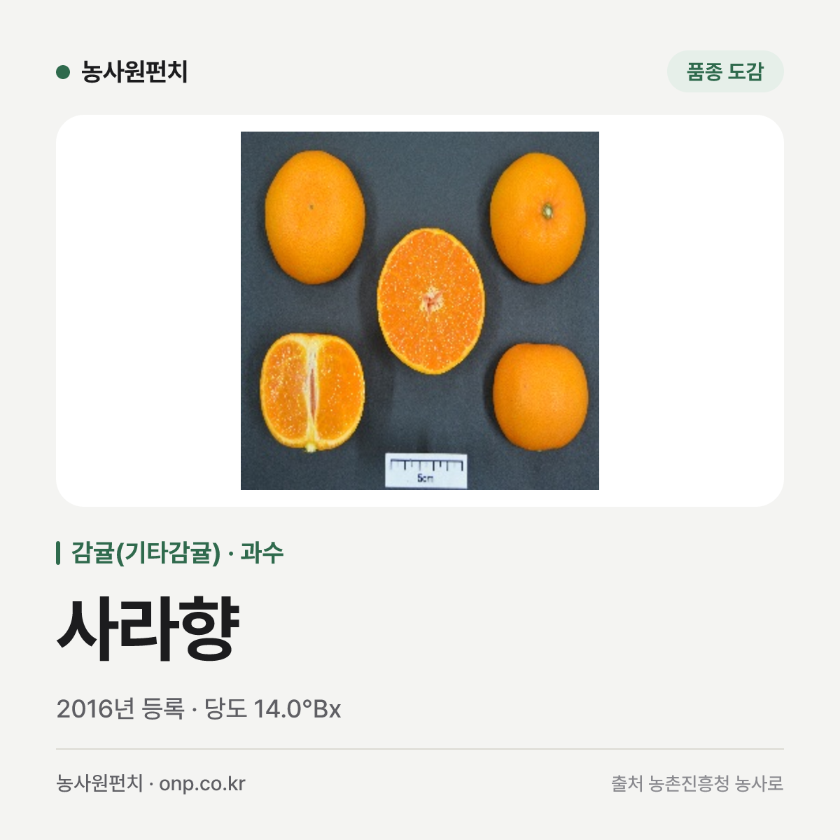 사라향