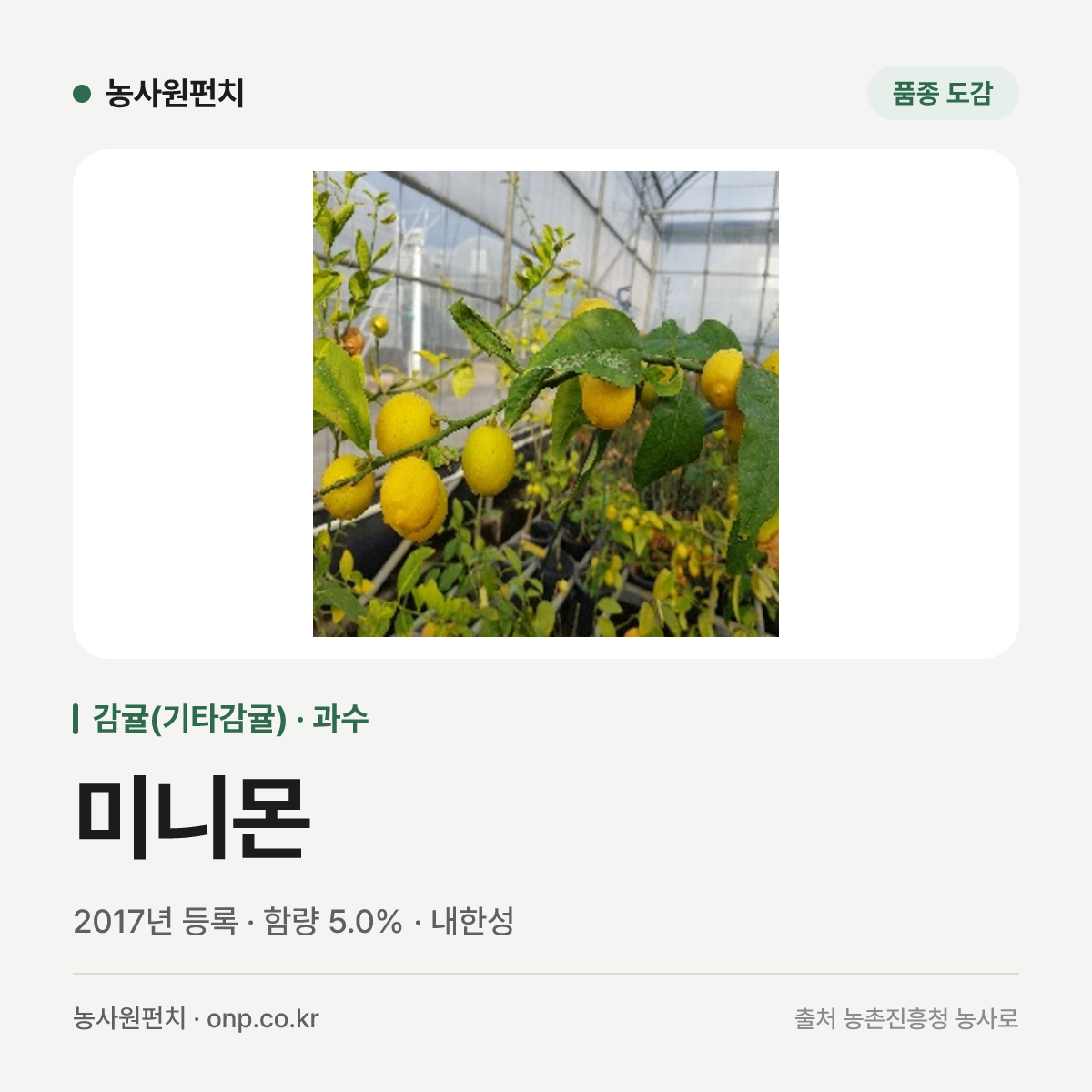 미니몬