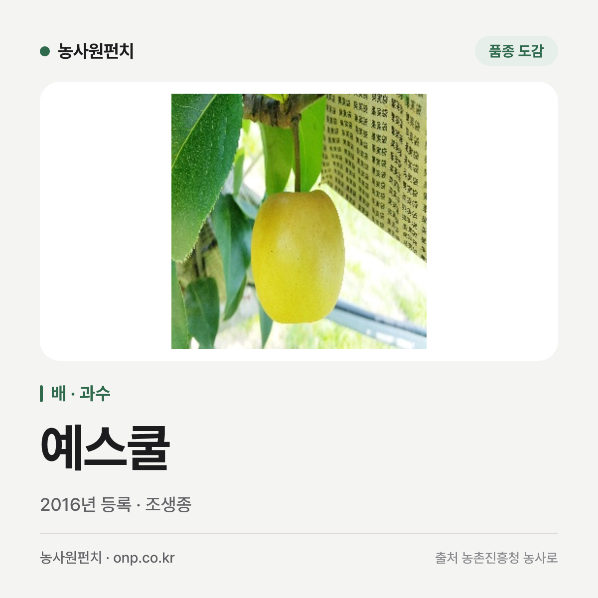 예스쿨