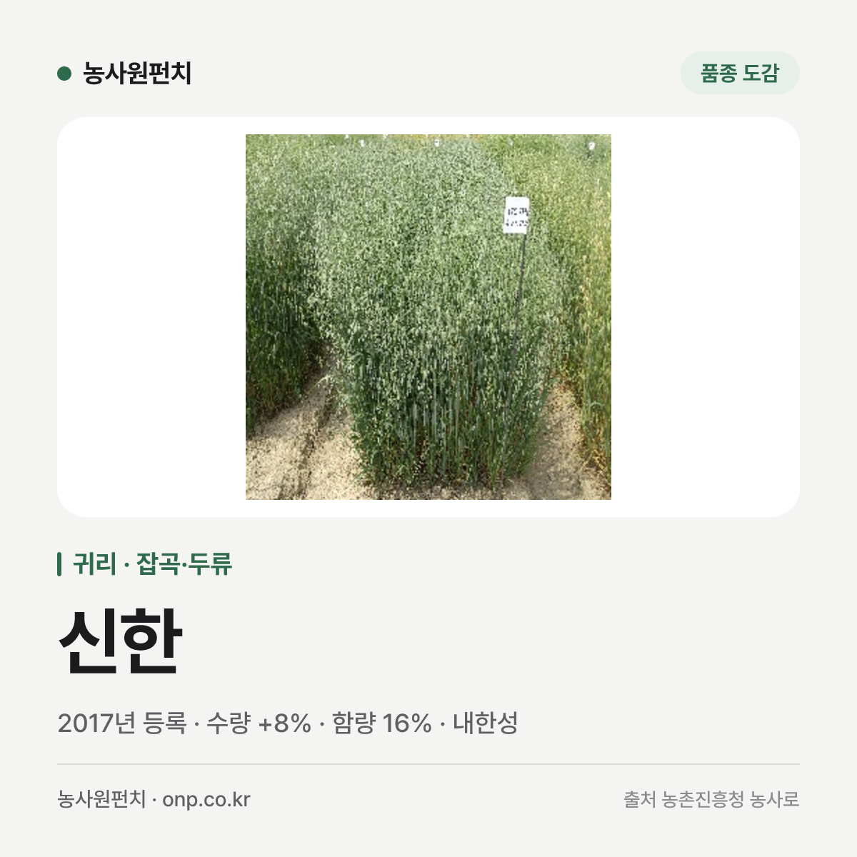 신한