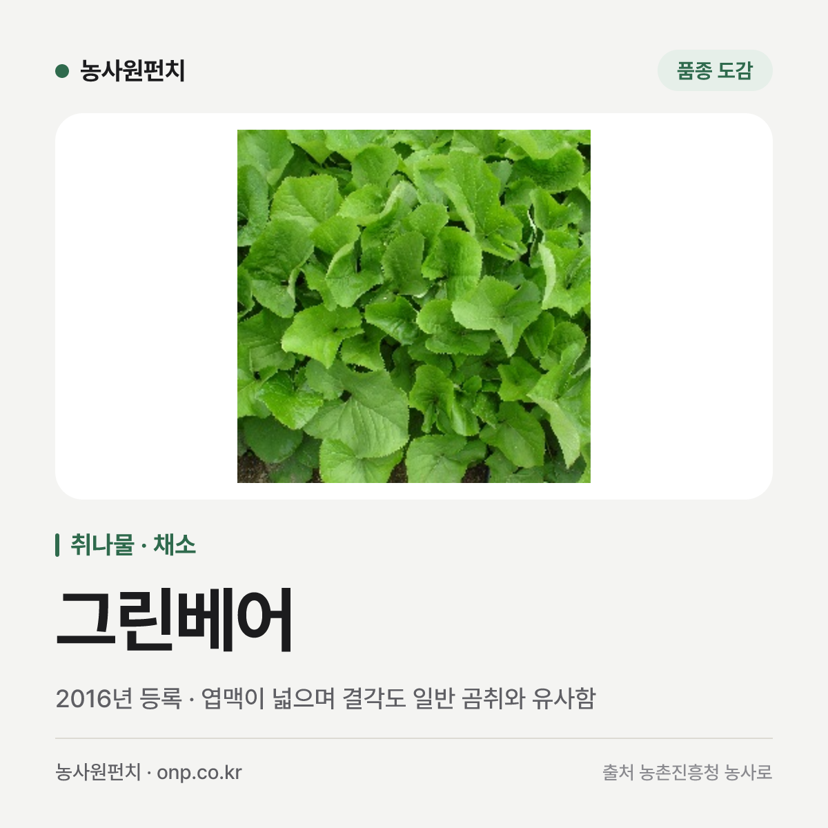 그린베어
