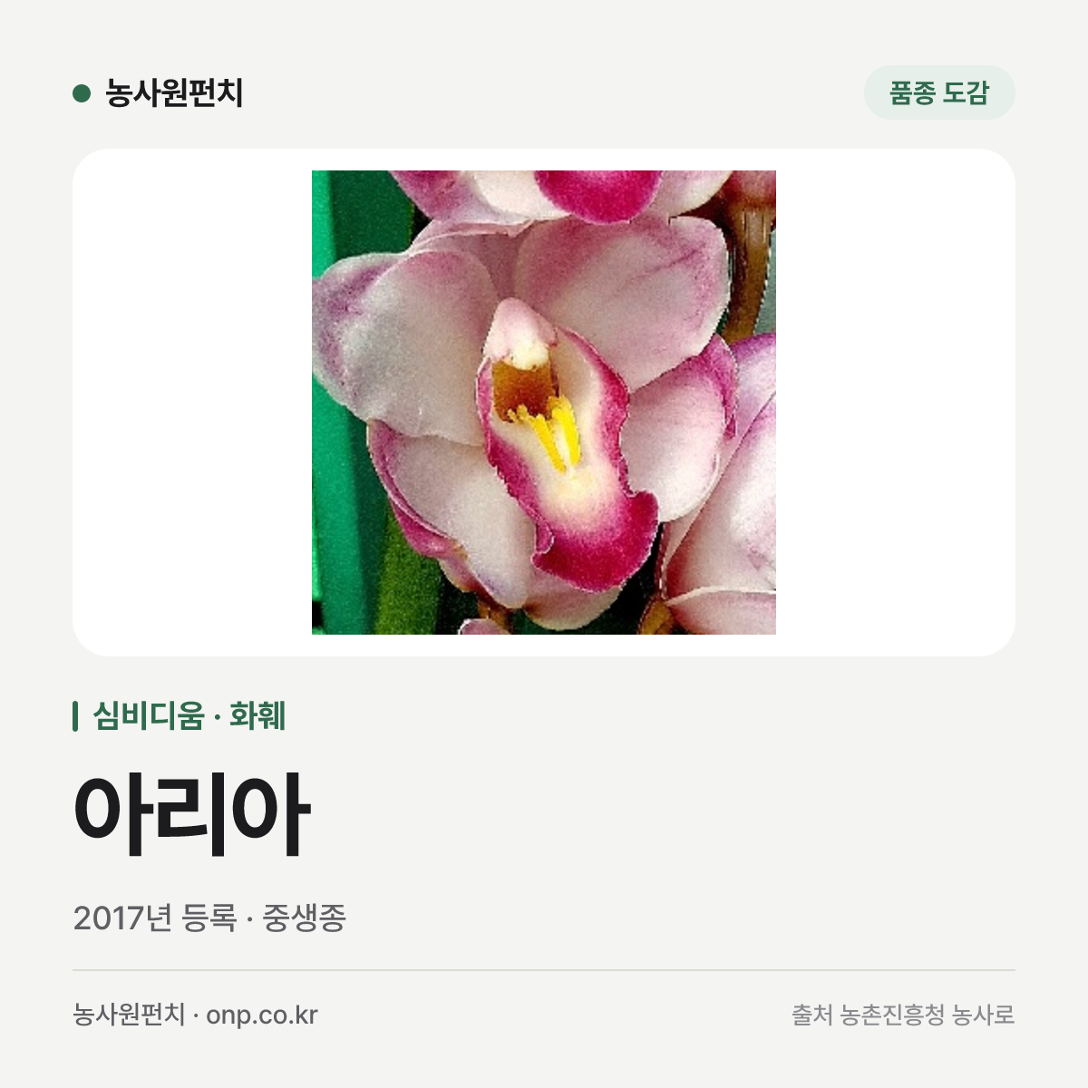 아리아