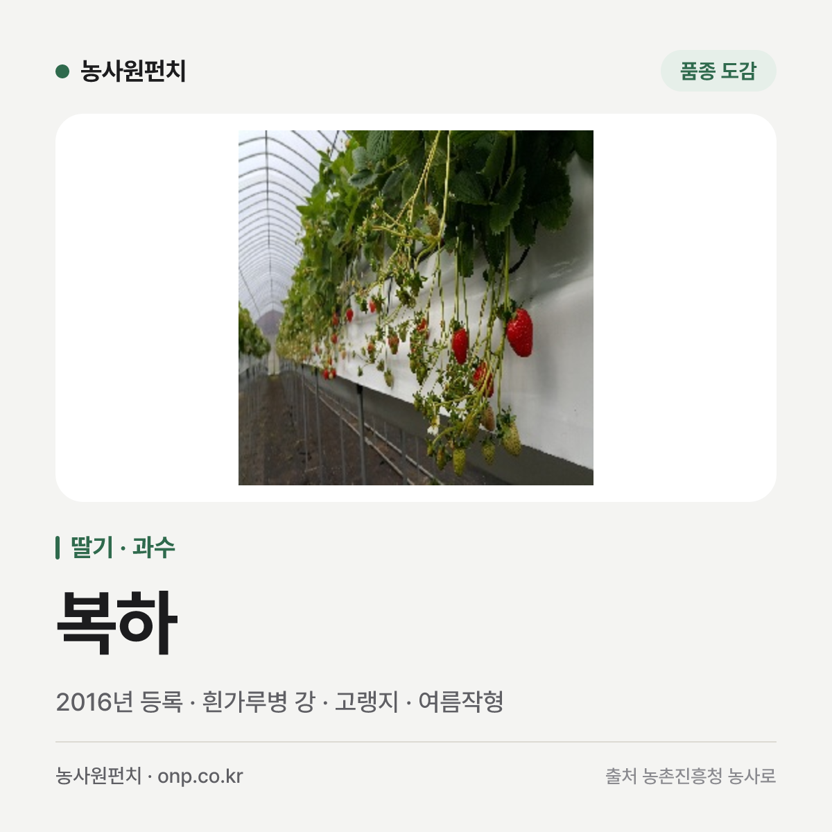 복하
