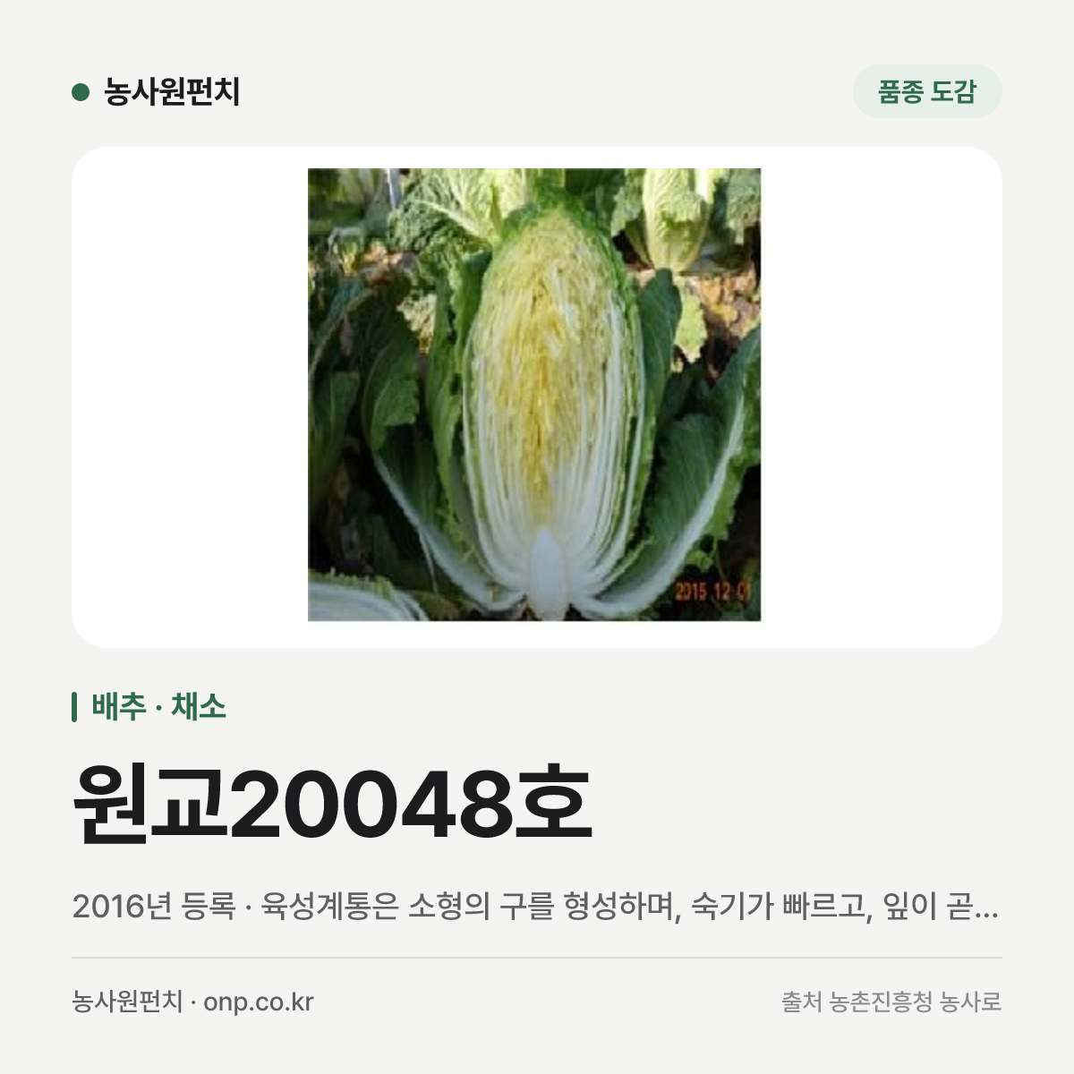 원교20048호