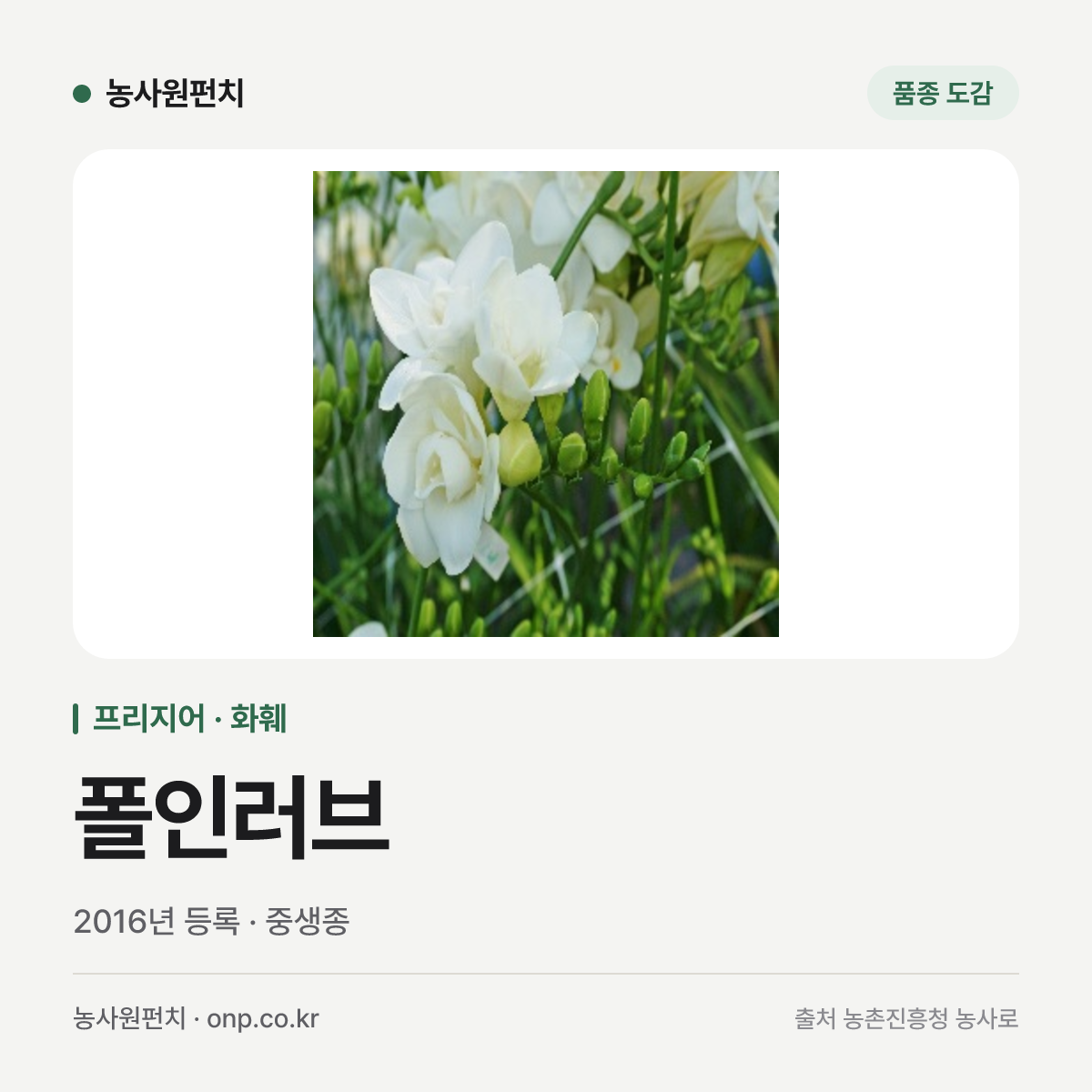 폴인러브