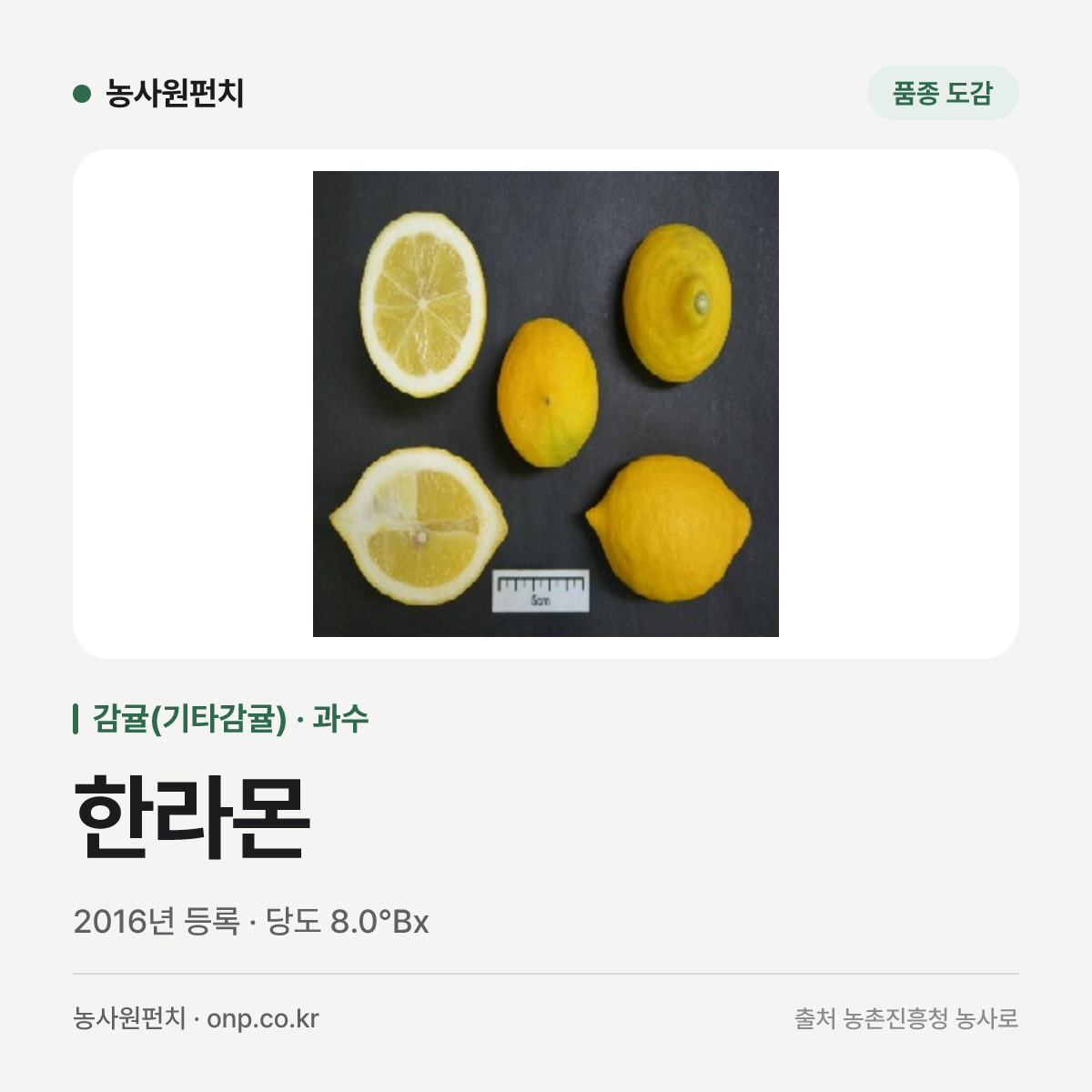 한라몬