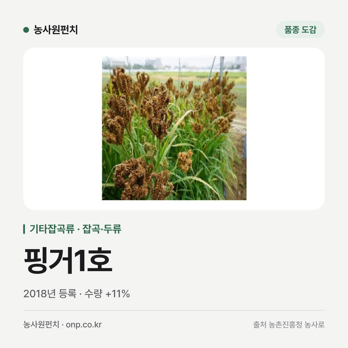 핑거1호