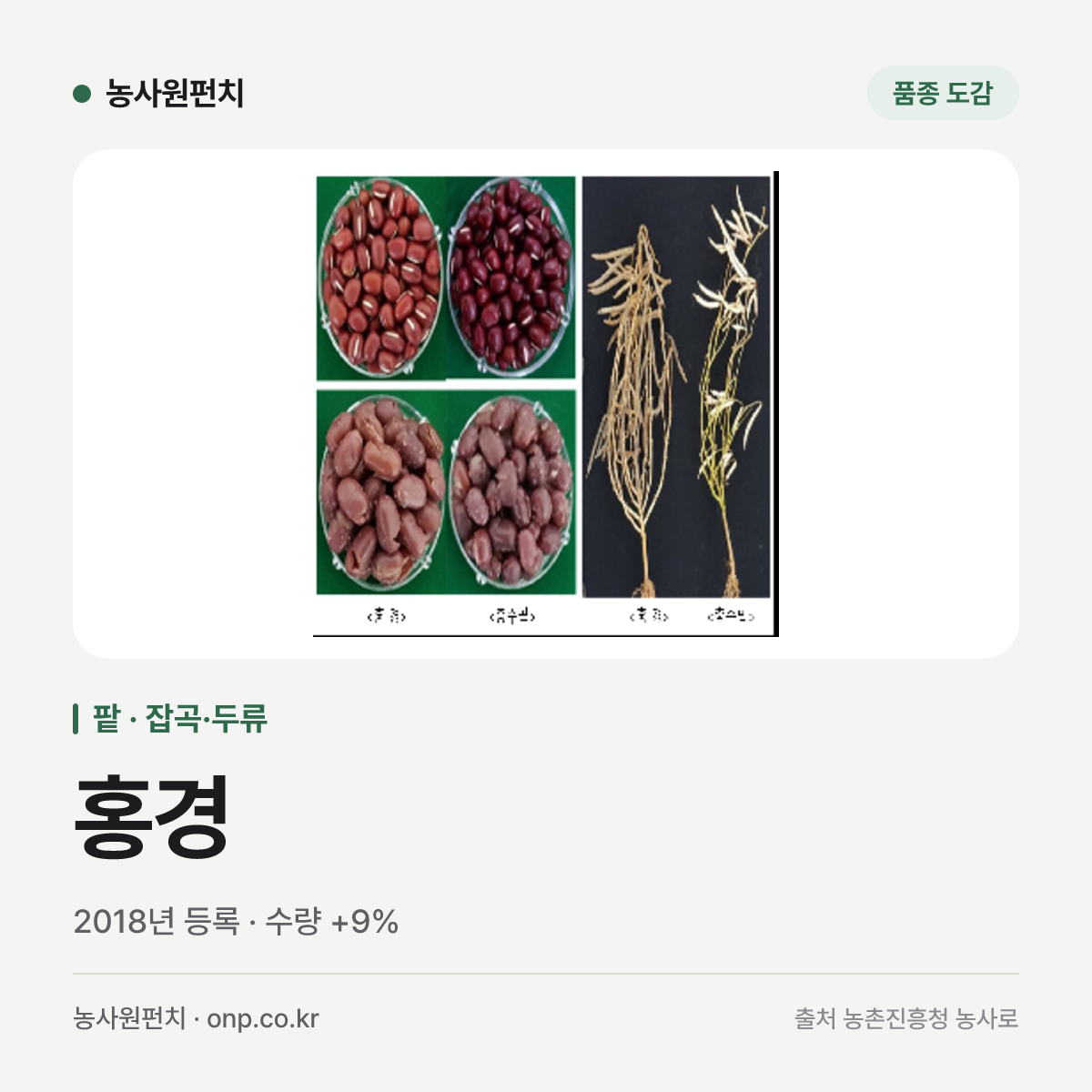 홍경
