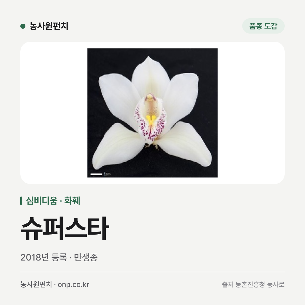 슈퍼스타