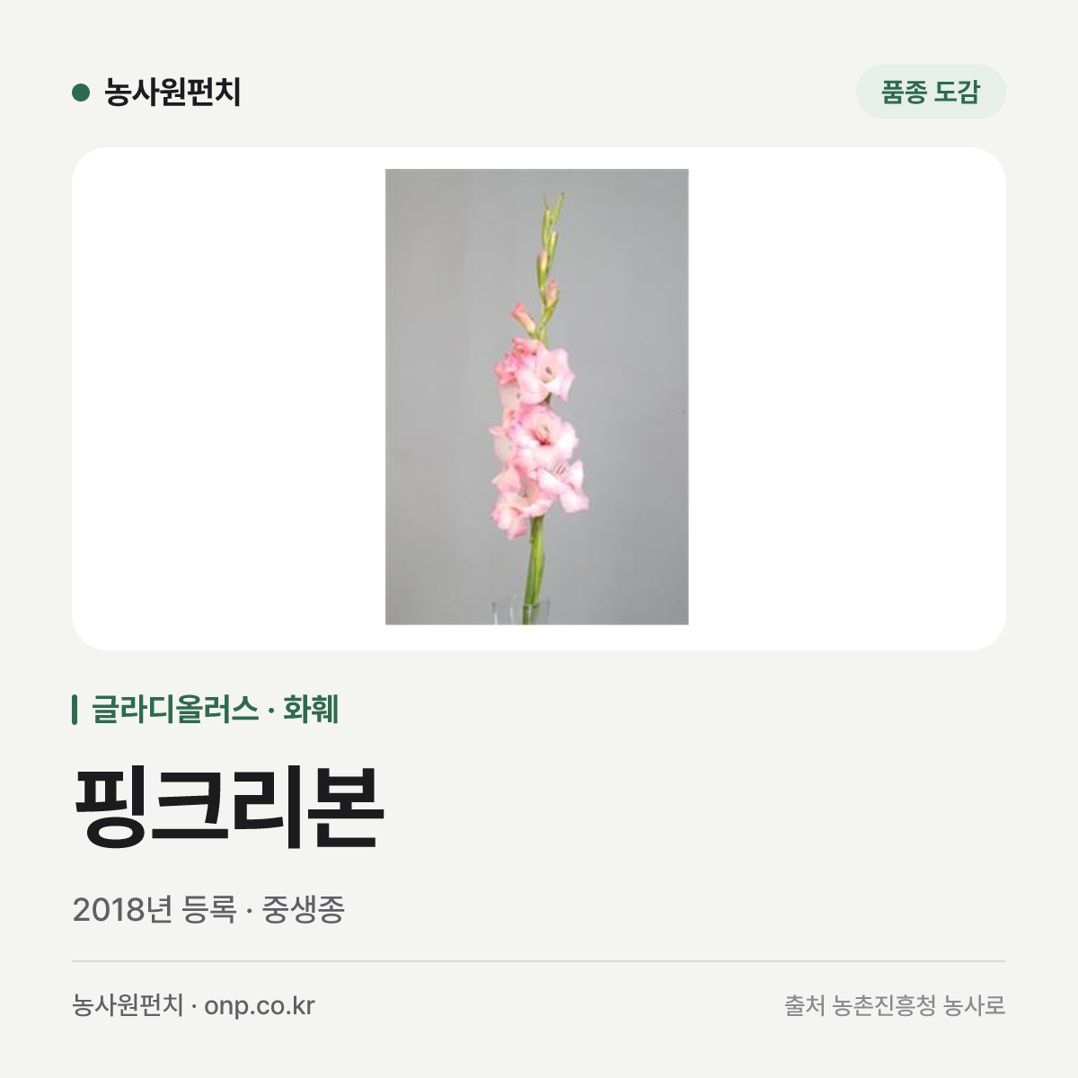 핑크리본