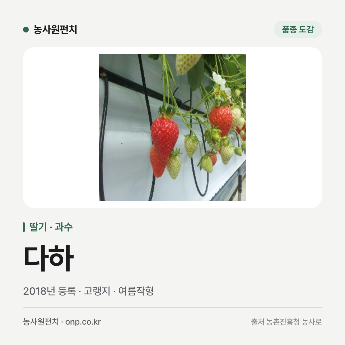 다하