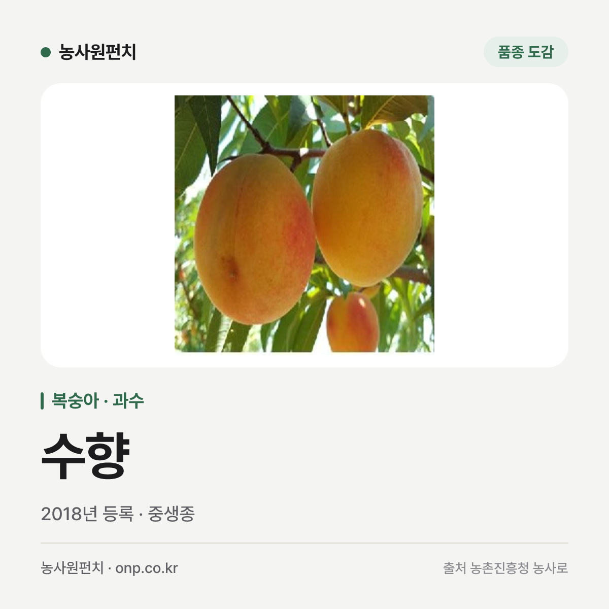 수향