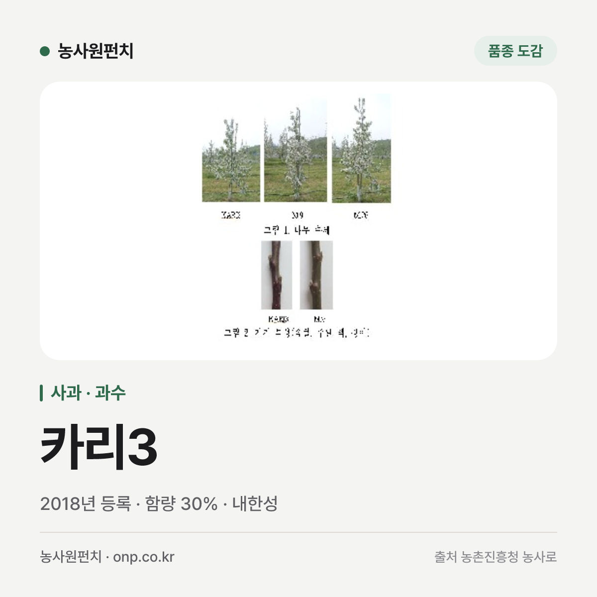 카리3
