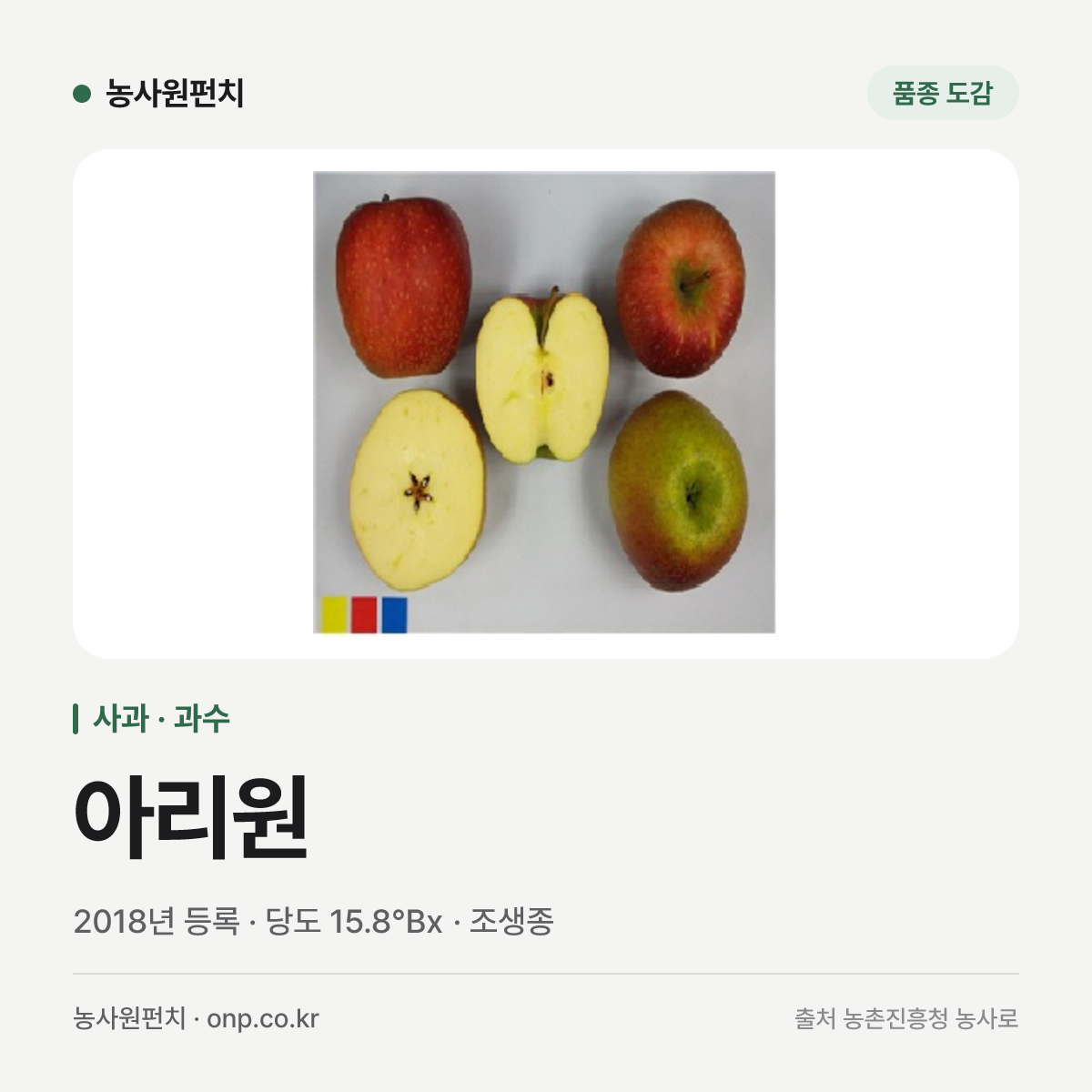 아리원