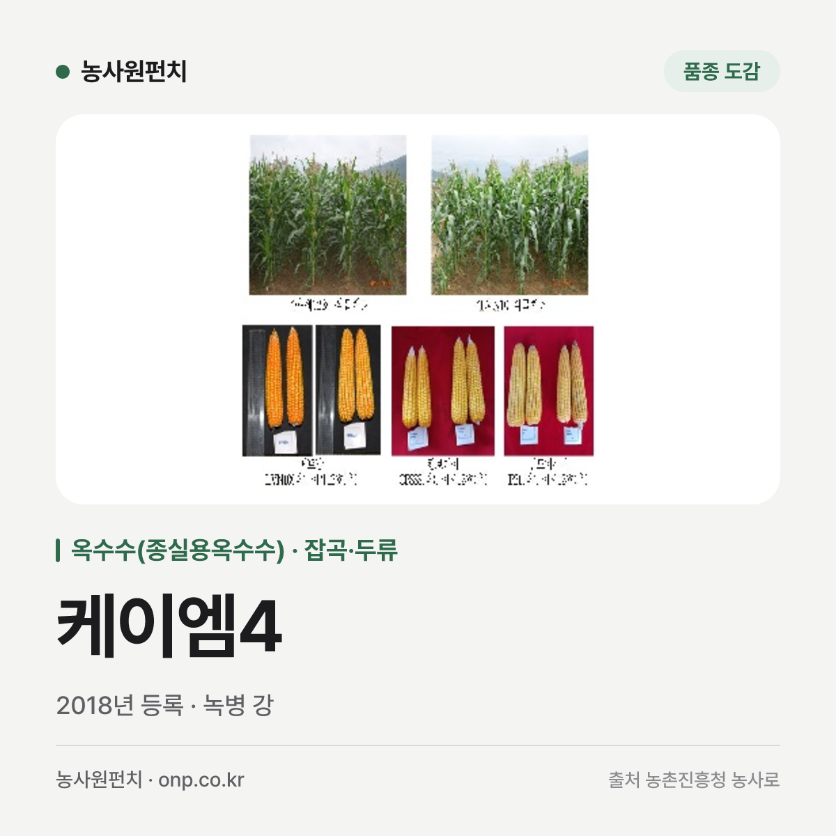 케이엠4
