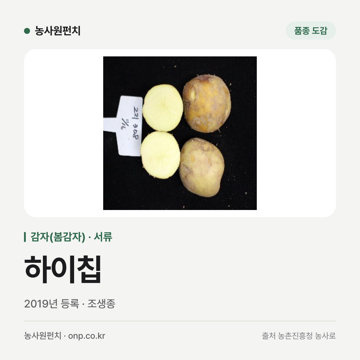하이칩