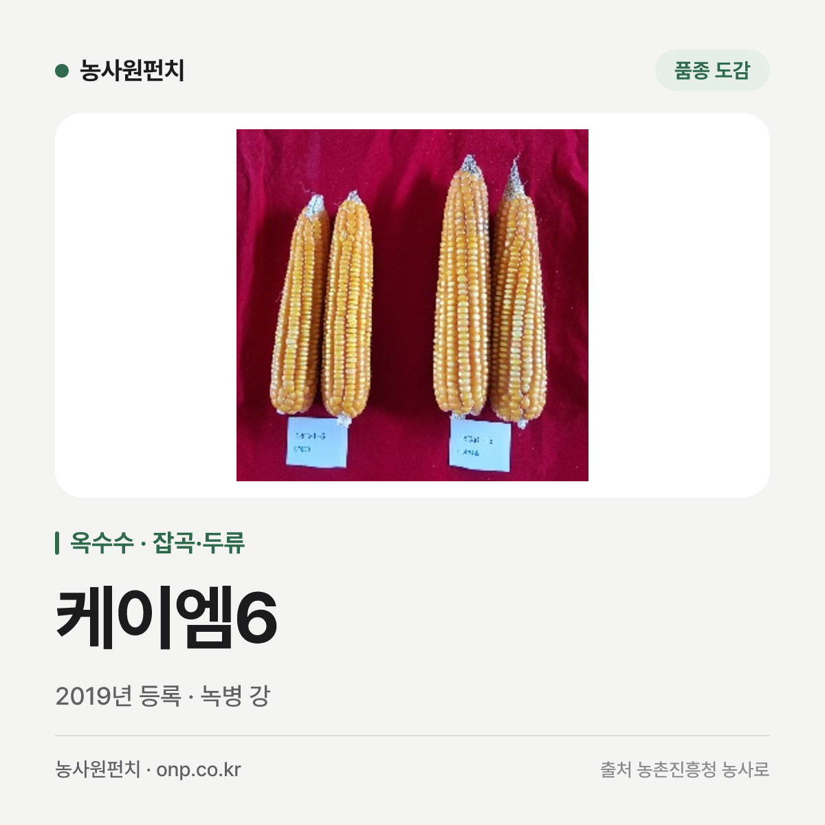 케이엠6