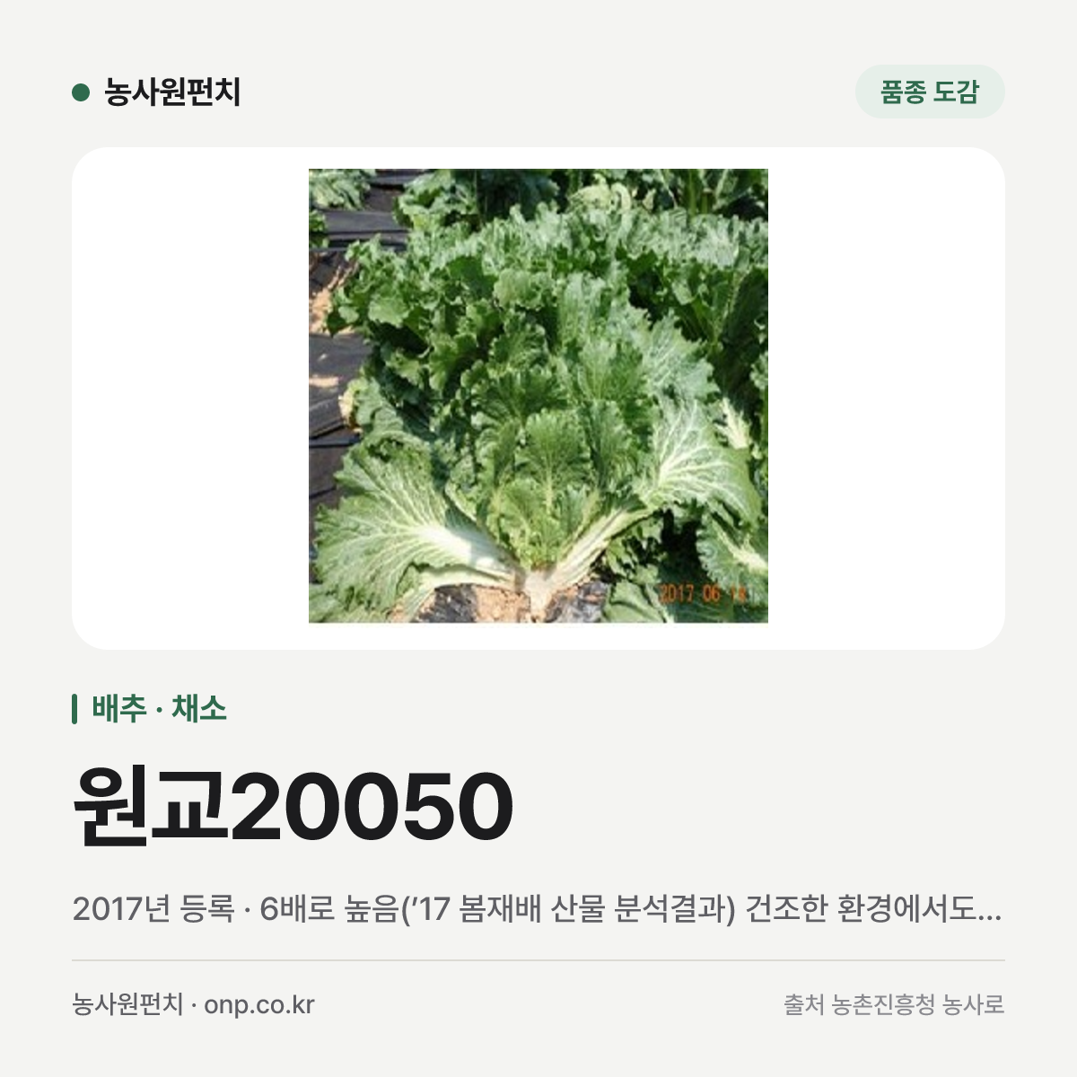 원교20050