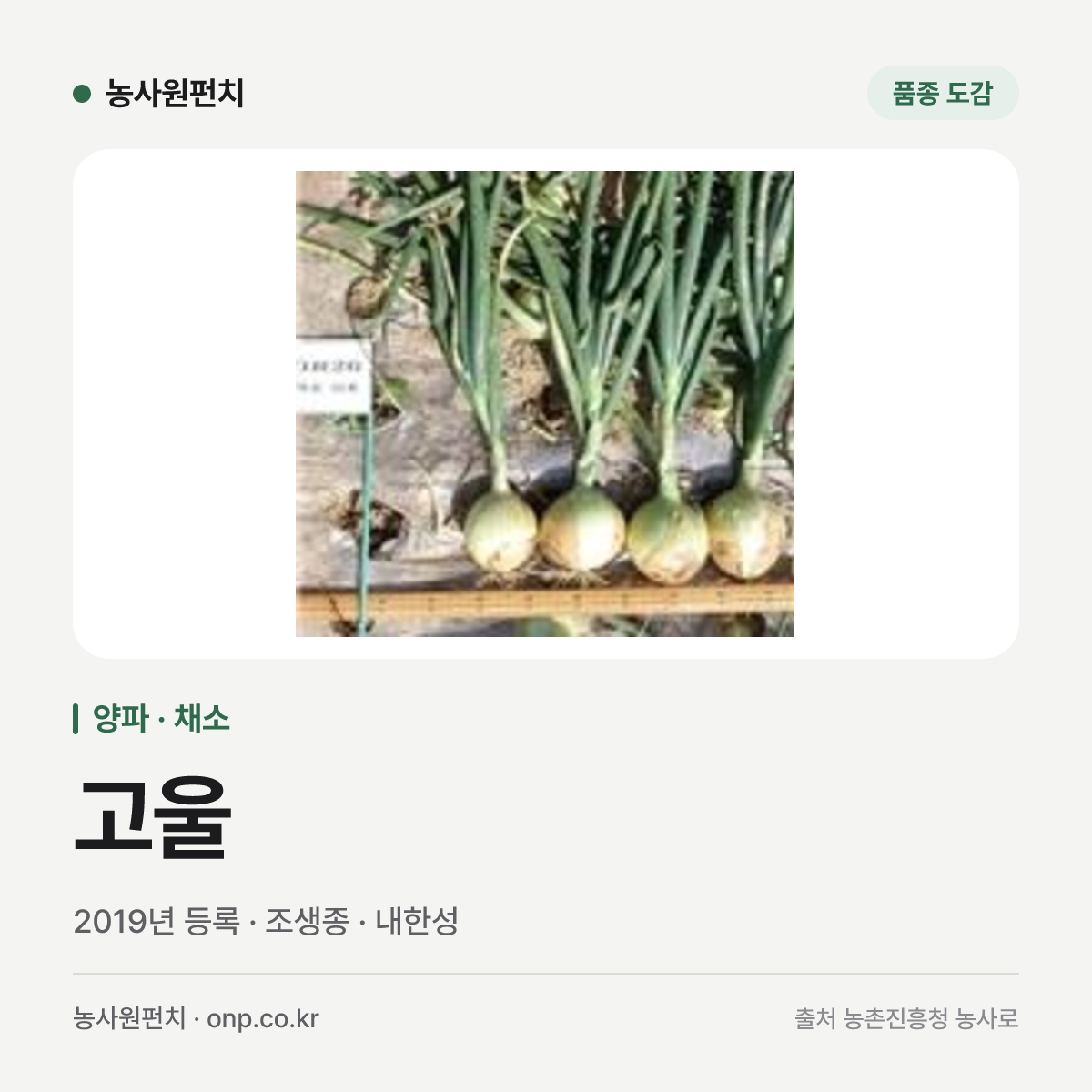 고울