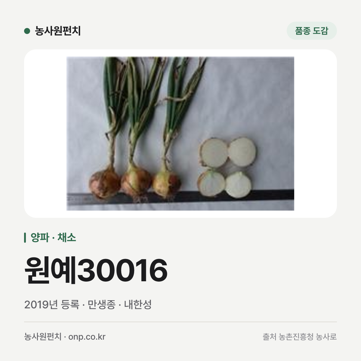 원예30016