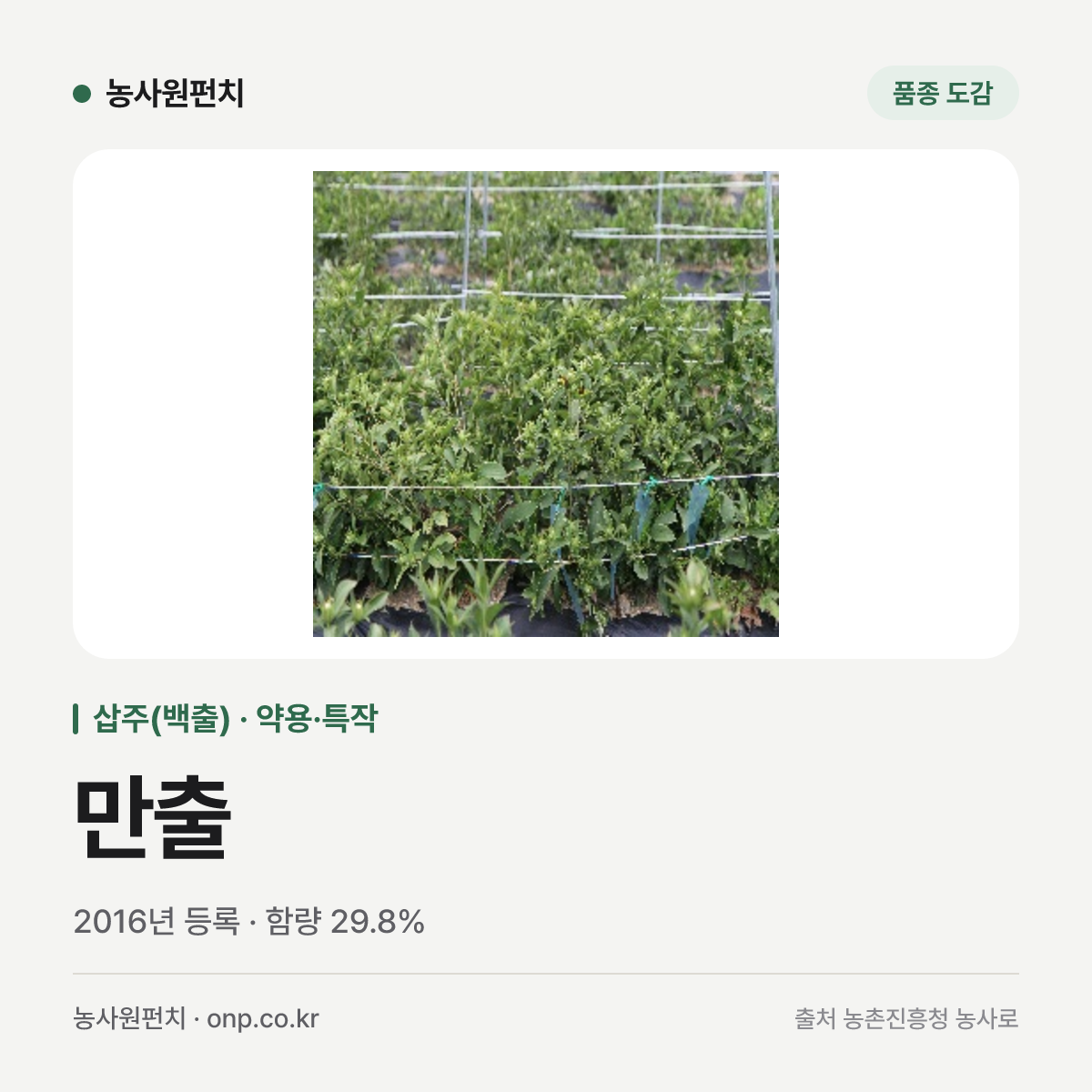 만출