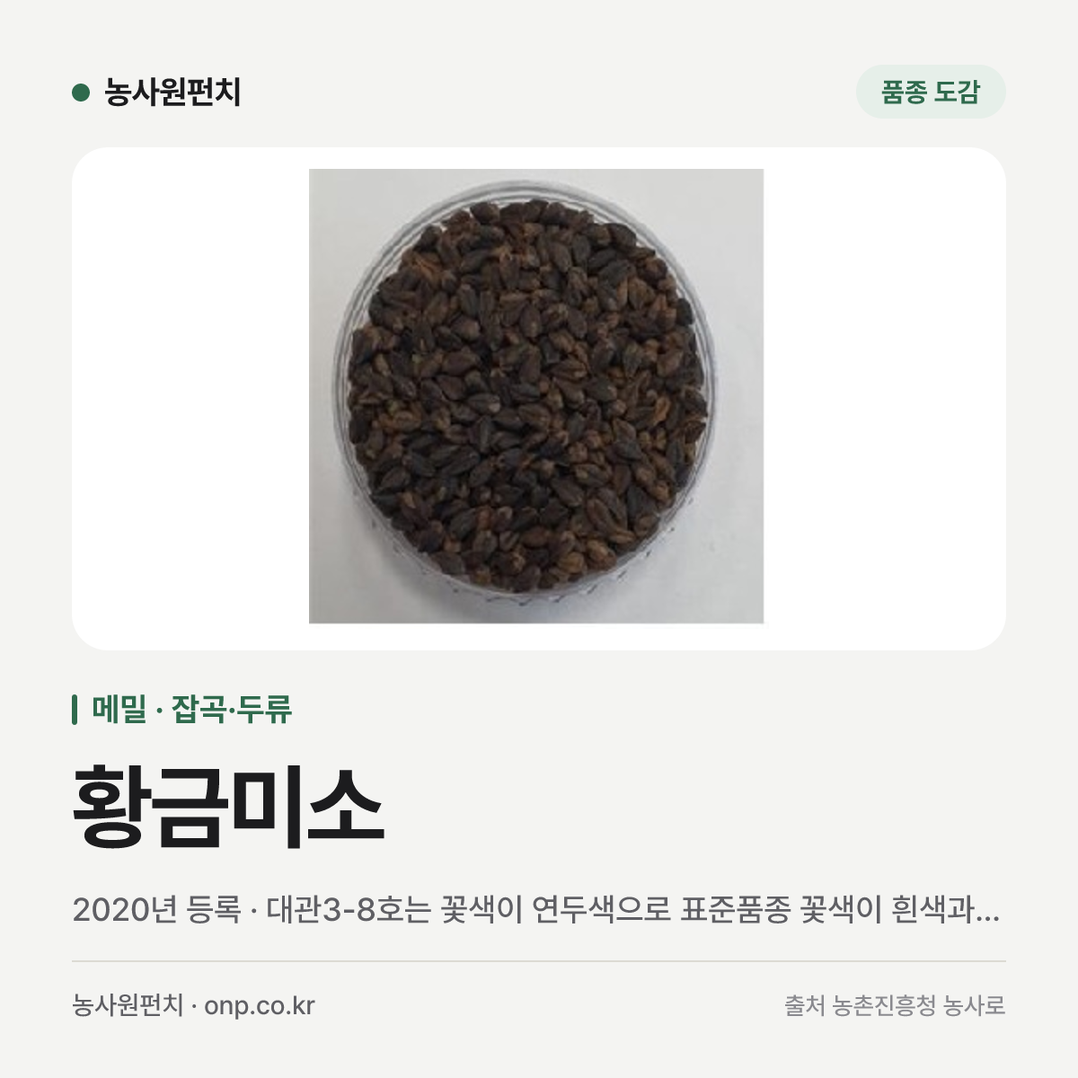 황금미소
