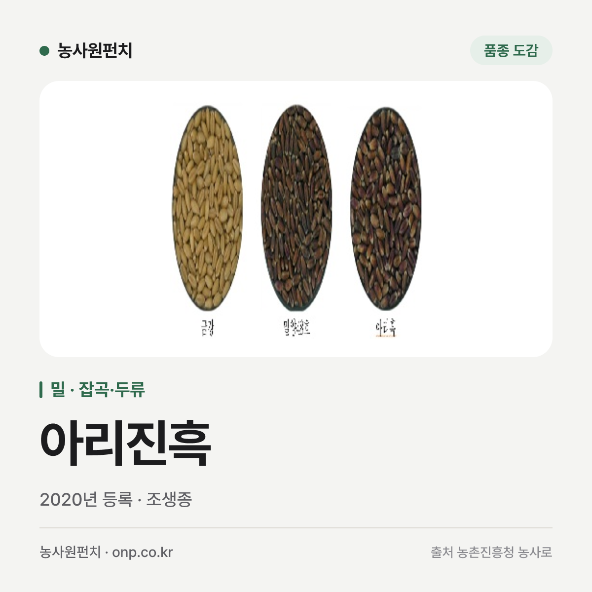 아리진흑