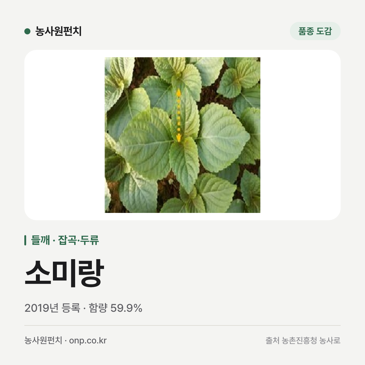 소미랑