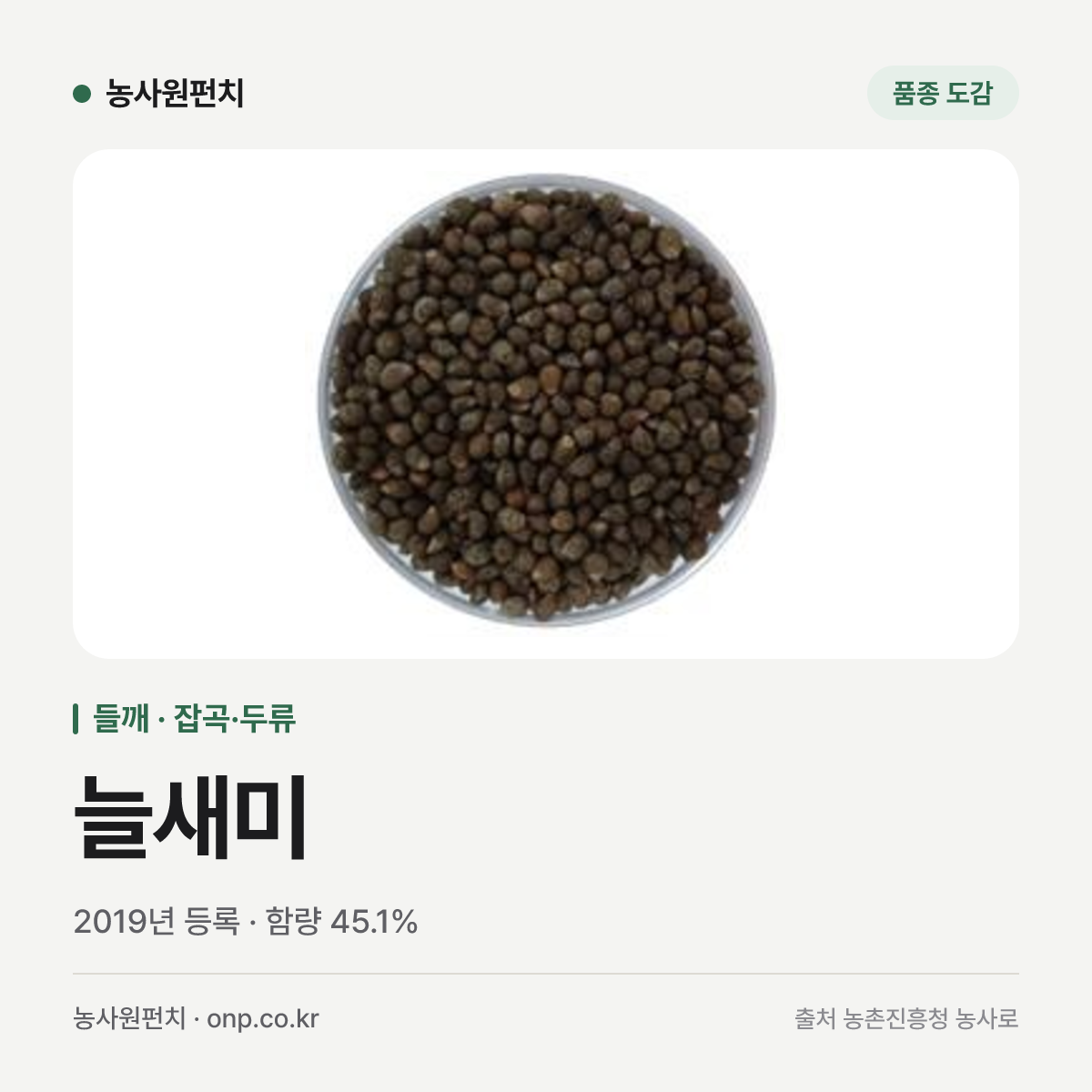 늘새미