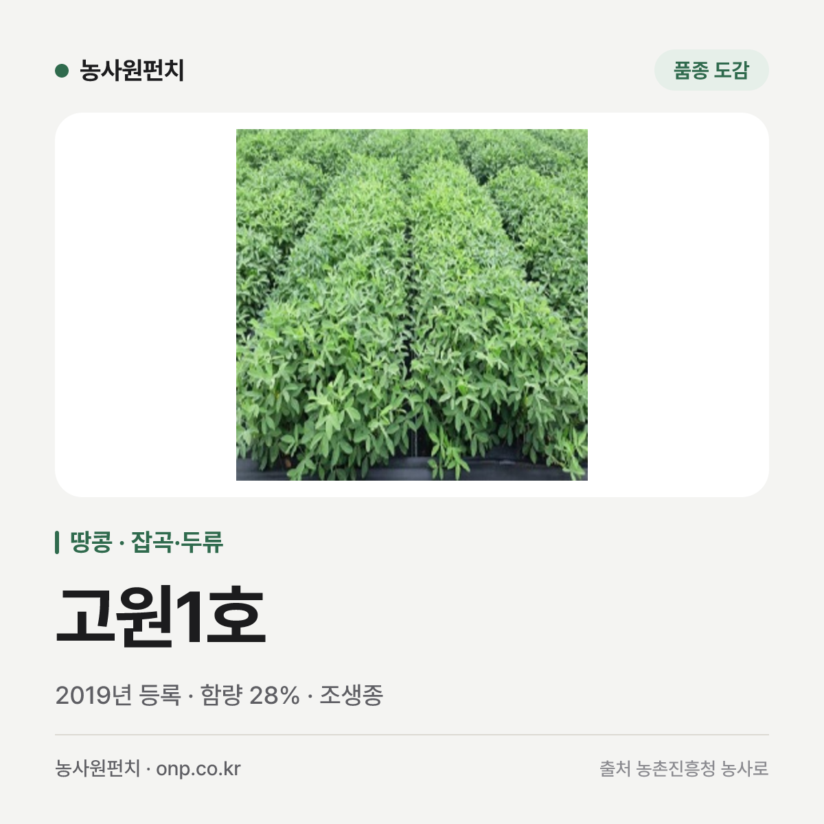 고원1호